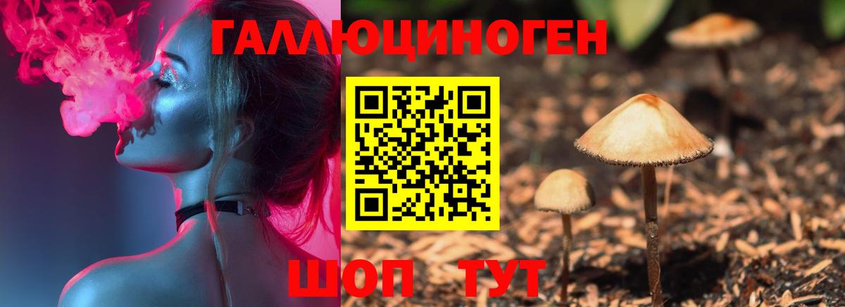 купить  цена  Галлюциногенные грибы MAGIC MUSHROOMS  Вход с VPN  Мценск 